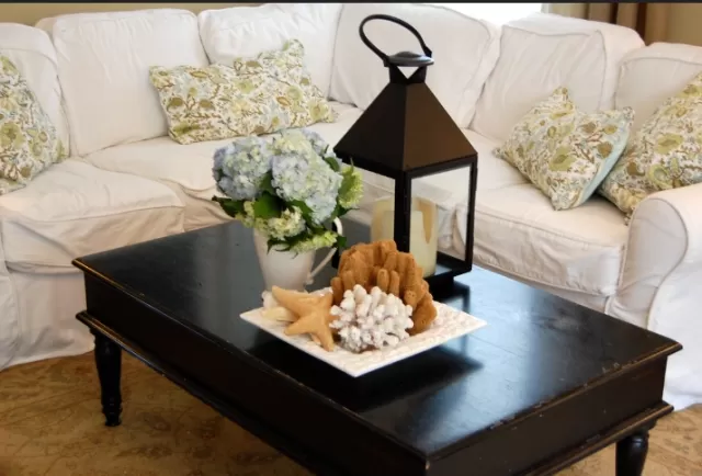 Designer Delights: Elegant Coffee Table Decor Ideas 5