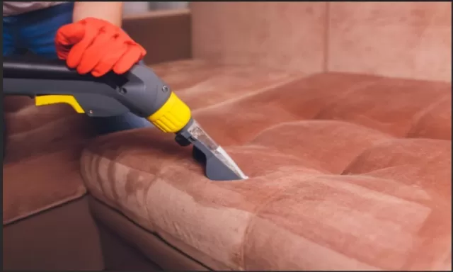 Proper Techniques for Cleaning Your Leather Couch 3