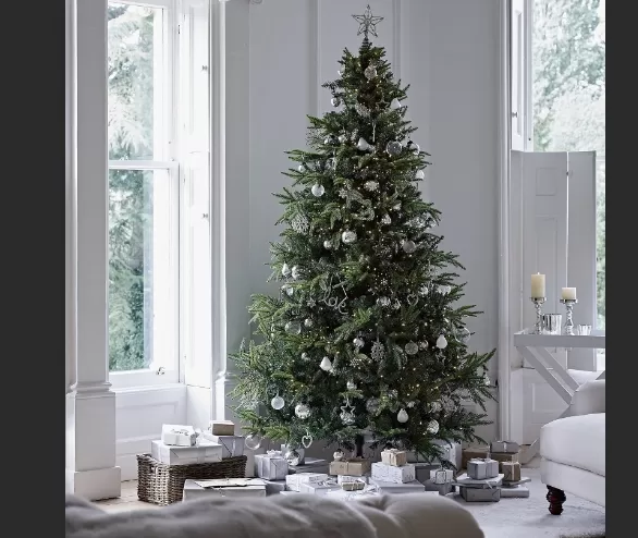 Creative Christmas Tree Ideas for a Magical Holiday Season 3