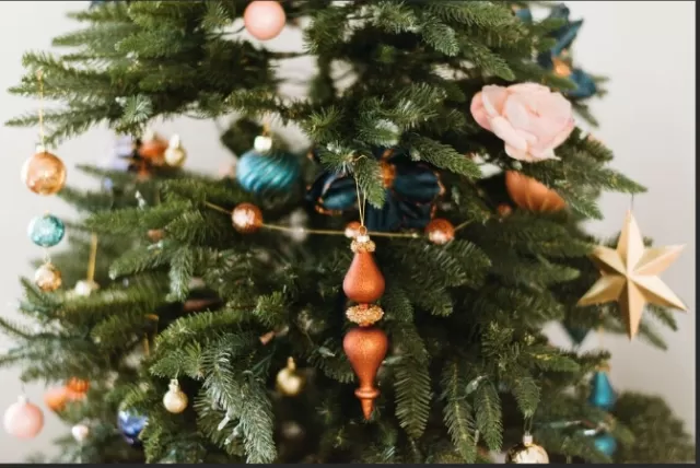 Creative Christmas Tree Ideas for a Magical Holiday Season 5