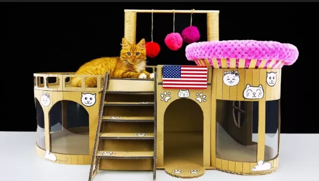 Transform an Old TV into a DIY Cat House 5