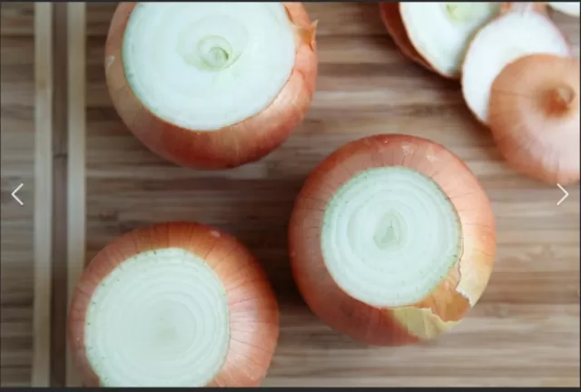 Common Onion Varieties 2
