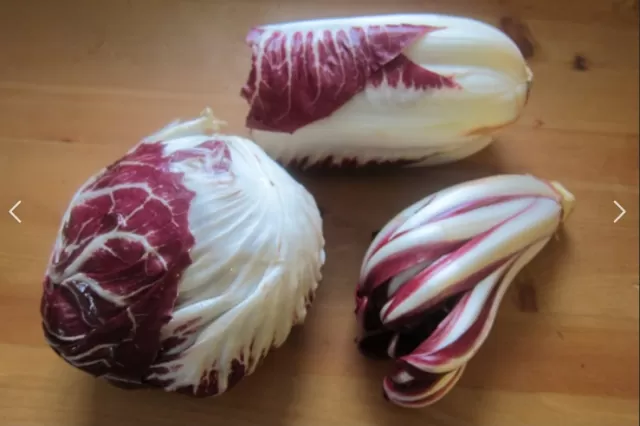 Radicchio: The Vibrant and Crunchy Winter Vegetable 3
