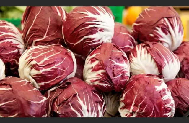 Radicchio: The Vibrant and Crunchy Winter Vegetable 5