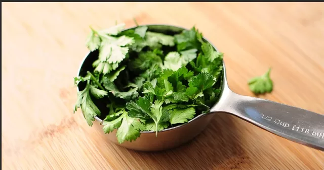 The Science Behind Why Some Perceive Cilantro as Soapy 1